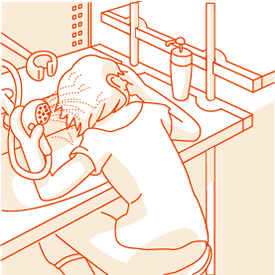 ���ʑ�ɃV�����[����