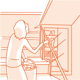 �K�i�̍L��