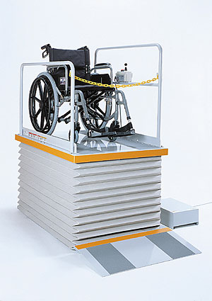 �Ᏸ�^�C�v�i���������t�g