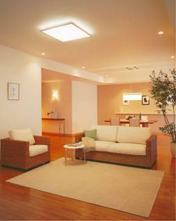 �����Ɩ��̗�