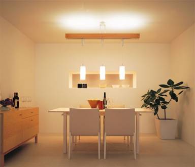 ���@�\�Ɩ��̗�